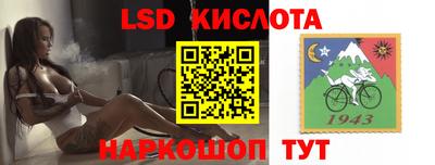 СК Кимры