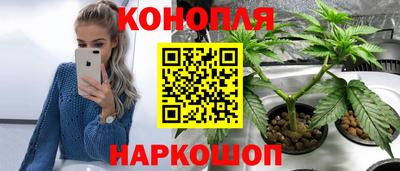 ALPHA PVP Кингисепп