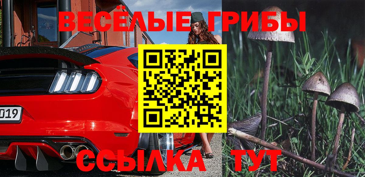 Псилоцибиновые грибы мухоморы Волоколамск