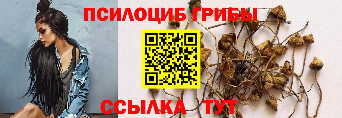 Псилоцибиновые грибы Psilocybe  Вход с VPN  Волоколамск 